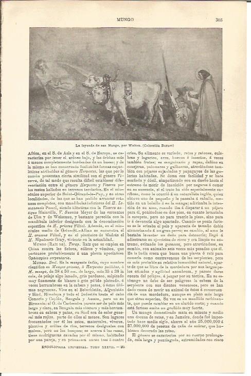 LAMINA V04540: La leyenda de san Mungo, por Walton