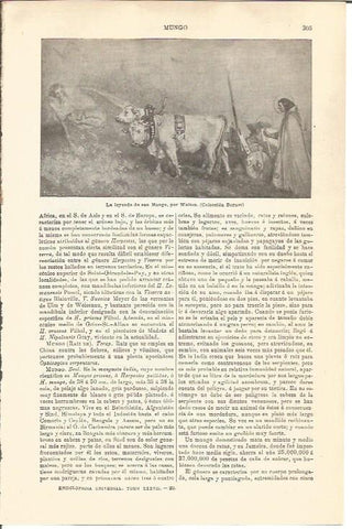 LAMINA V04540: La leyenda de san Mungo, por Walton