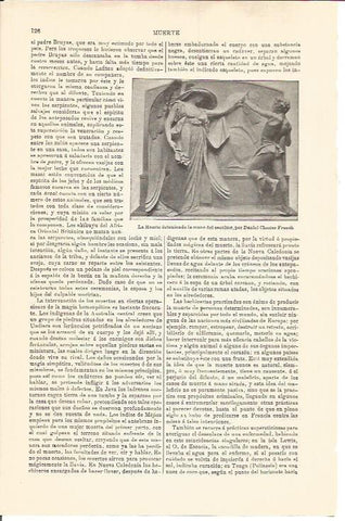 LAMINA V04500: La Muerte deteniendo la mano del escultor, por D. Chester French