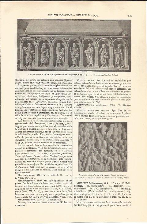 LAMINA V04534: Tumba de la multiplicacion de los panes y los peces