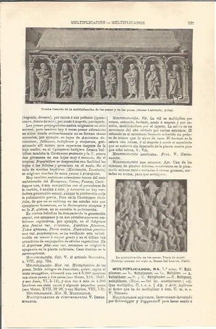 LAMINA V04534: Tumba de la multiplicacion de los panes y los peces