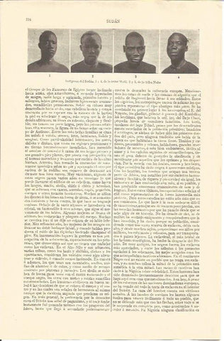 LAMINA V04252: Indigenas del Sudan