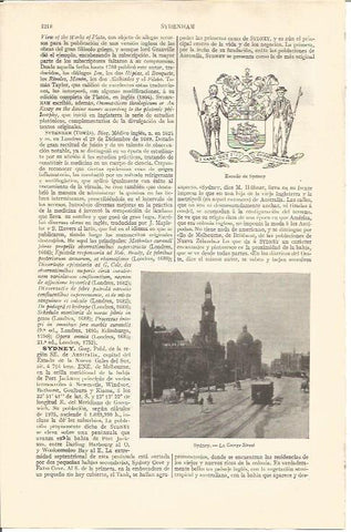 LAMINA V04383: Escudo y George Street en Sydney