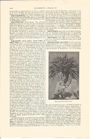 LAMINA V04379: Guerrero de Swaziland