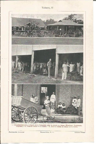 LAMINA V04402: Tabaco en Binaloman, Pangasinan Filipinas