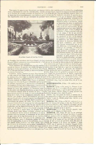 LAMINA V04364: El surtidor por Santiago Rusiñol