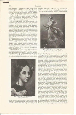 LAMINA V04798: Entrada de Maria Sofia de Taglioni