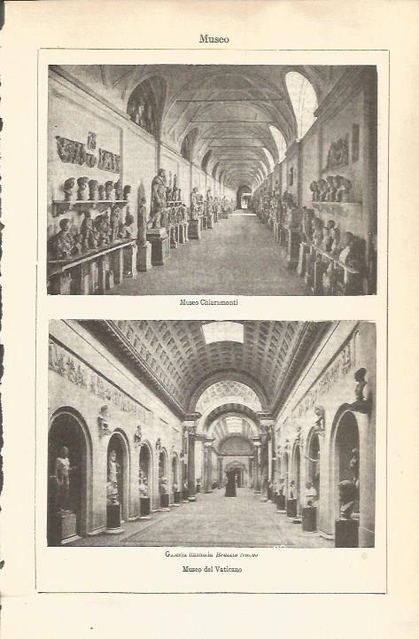 LAMINA V04637: Museo del Vaticano