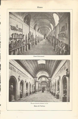 LAMINA V04637: Museo del Vaticano