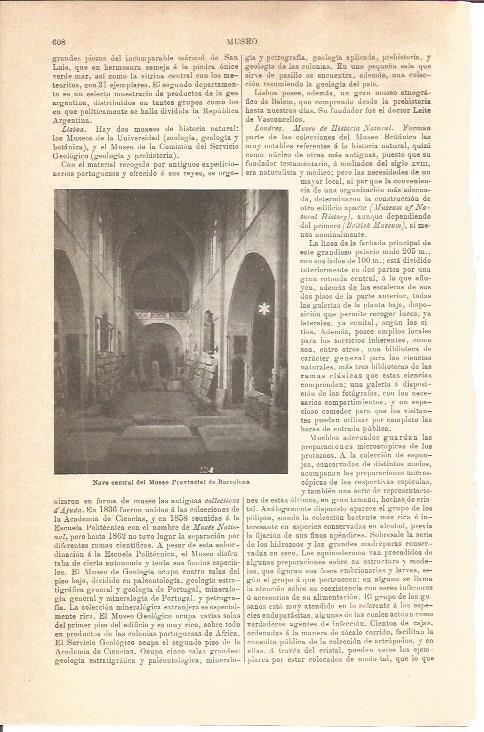 LAMINA V04634: Museo Provincial de Barcelona