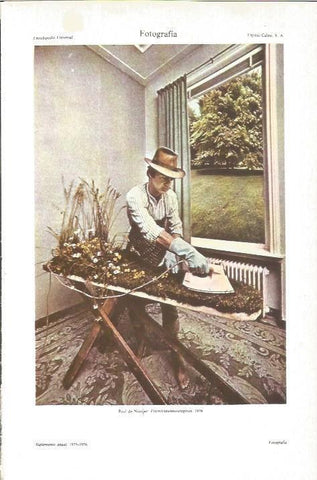 LAMINA V06173: Electric lawn mowing iron, por Paul de Nooijer 1976