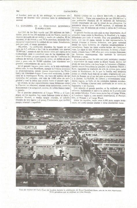 LAMINA V06180: Feria ganadera en Earl's Court, Londres