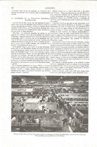 LAMINA V06180: Feria ganadera en Earl's Court, Londres
