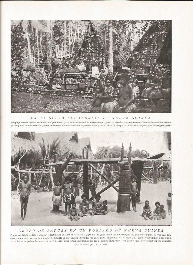 LAMINA V06408: Grupo de papuas en un poblado de Nueva Guinea