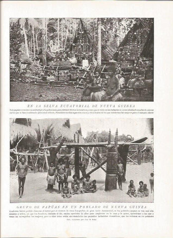 LAMINA V06408: Grupo de papuas en un poblado de Nueva Guinea