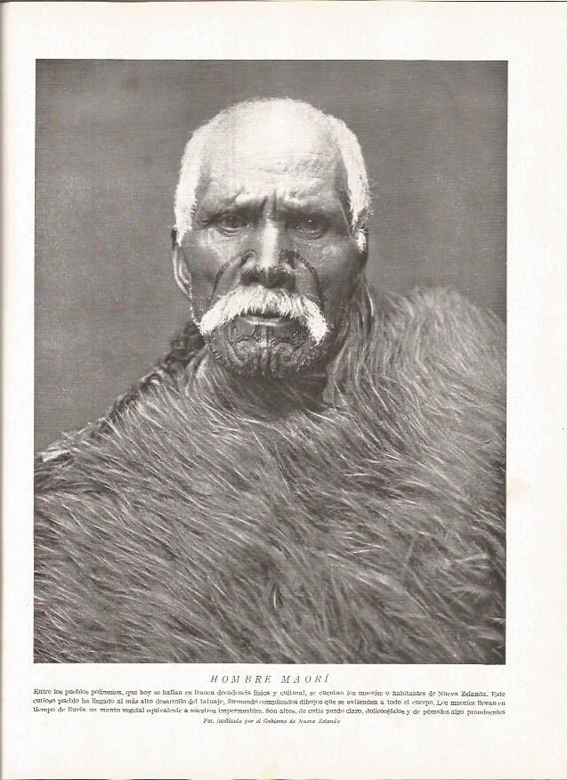 LAMINA V06447: Hombre maori
