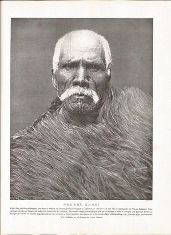 LAMINA V06447: Hombre maori