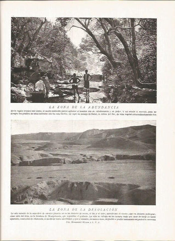 LAMINA V06449: Paisaje de Natal, Sudafrica
