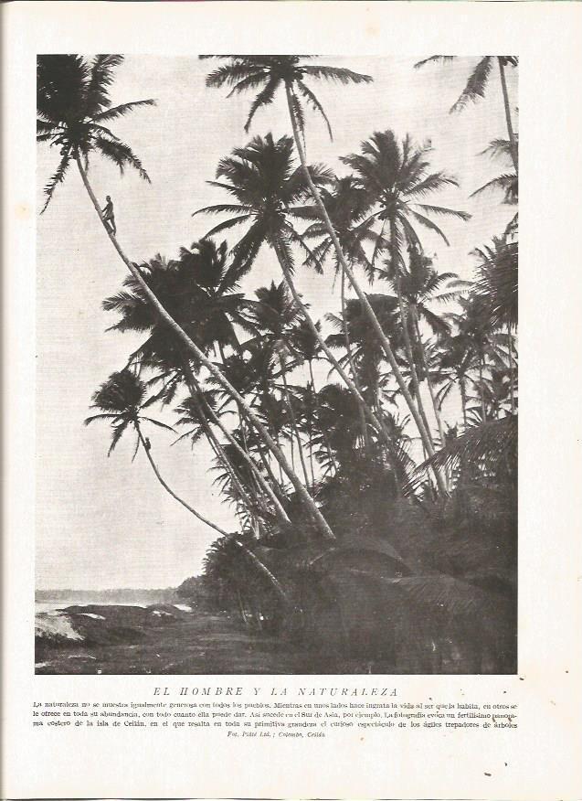 LAMINA V06451: Paisaje costero en la isla de Ceylan