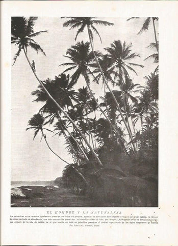 LAMINA V06451: Paisaje costero en la isla de Ceylan