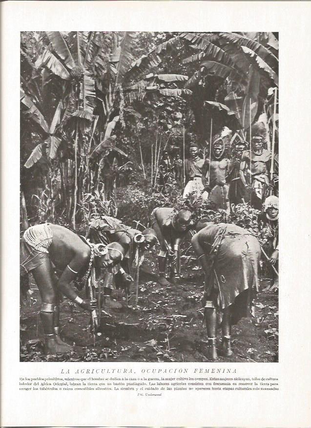 LAMINA V06456: Mujeres akikuyus en Africa Central labrando la tierra
