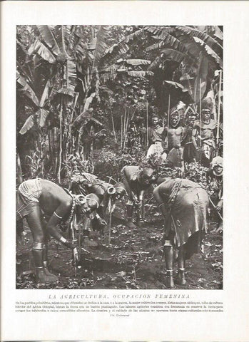 LAMINA V06456: Mujeres akikuyus en Africa Central labrando la tierra