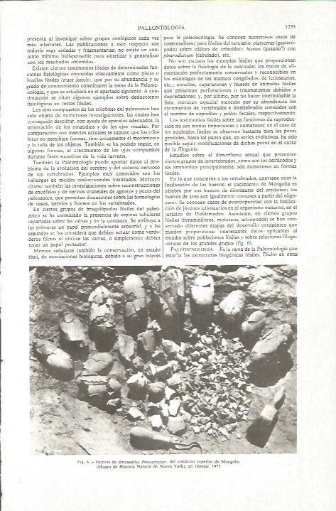 LAMINA V06297: Huevos de dinosaurio Protoceratops en Mongolia