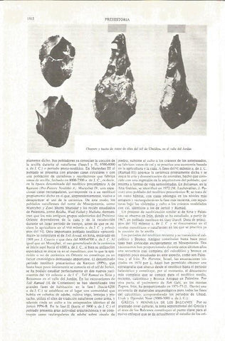 LAMINA V06312: Hacha de silex de Ubeidiya