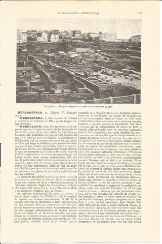LAMINA V05727: Conjunto de excavaciones en 1929 en Herculano, Italia