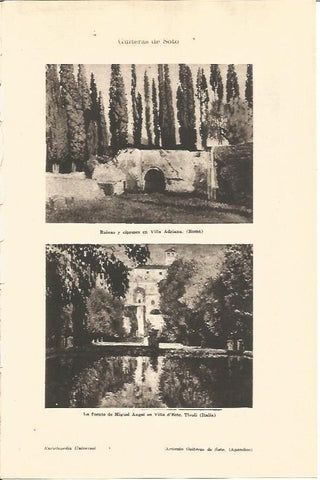 LAMINA V05706: Ruinas y cipreses en Villa Adriana, Roma