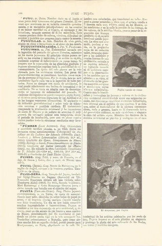 LAMINA V05637: El despertar, por Fujita