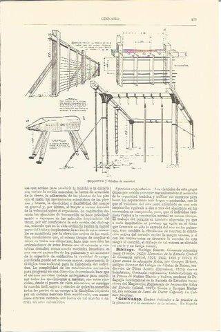 LAMINA V05668: Aparatos de gimnasio