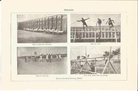 LAMINA V05669: Escuela Central de Gimnasia en Toledo