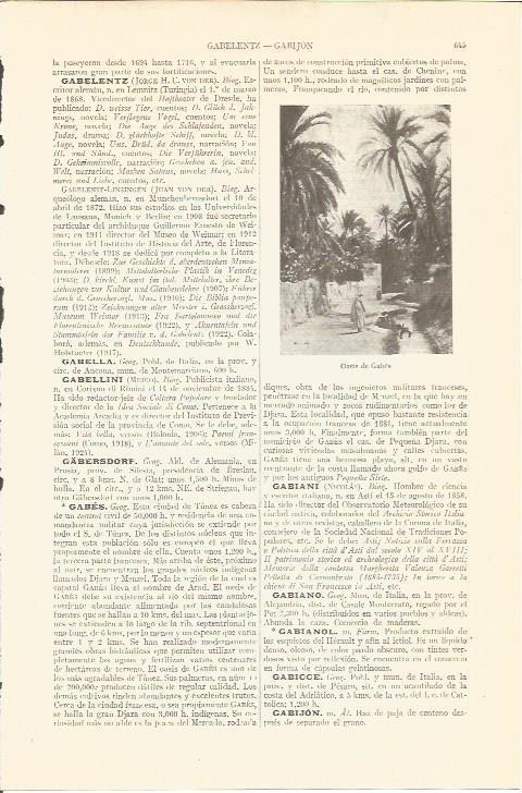 LAMINA V05639: Oasis de Gabes, Tunez