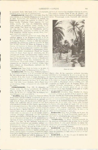 LAMINA V05639: Oasis de Gabes, Tunez