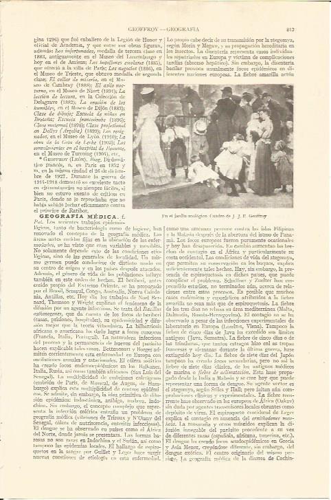 LAMINA V05662: En el jardin zoologico, por J. J. E. Geoffroy