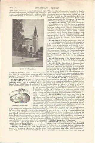 LAMINA V05997: Abadia de la Vangadizza, Italia