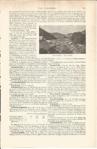 LAMINA V05890: Vista parcial de Vals-les-Bains, Francia