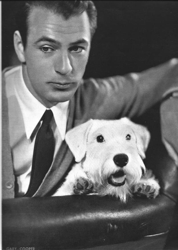 LAMINA 29930: Gary Cooper