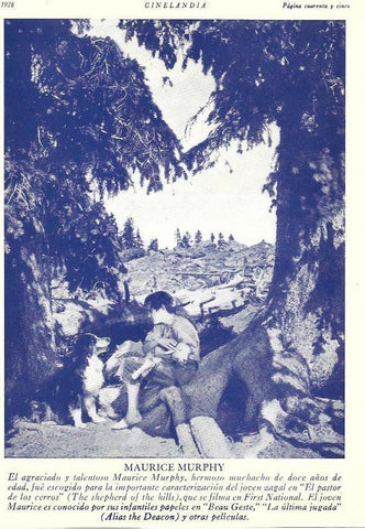 LAMINA 29486: Maurice Murphy