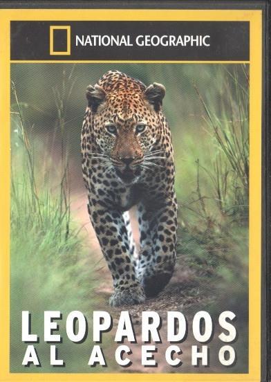 DVD: Leopardos al acecho. National Geographic