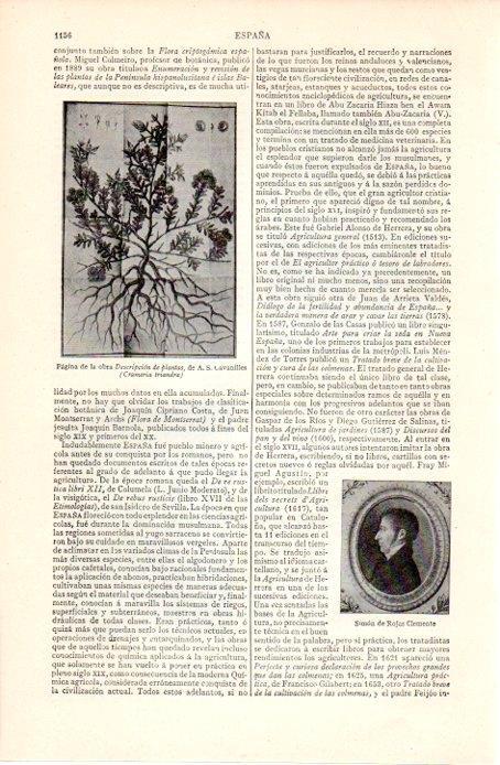 LAMINA V07360: Simon de Rojas Clemente