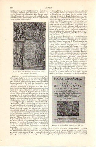 LAMINA V07359: Portada Flora española por Jose Quer