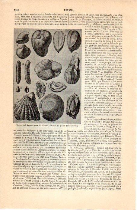 LAMINA V07358: Aparato para la Historia Natural por Jose Torrubia