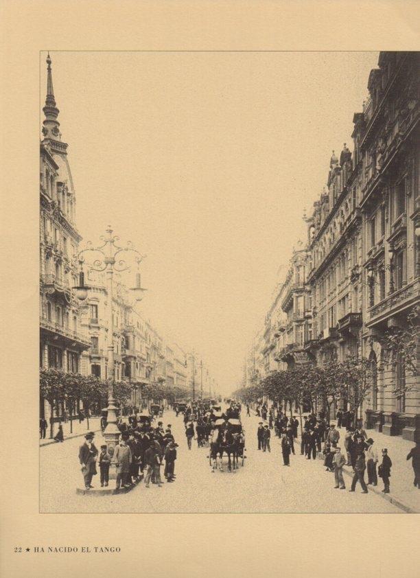 LAMINA V07464: La Avenida de Mayo en 1894, Buenos Aires