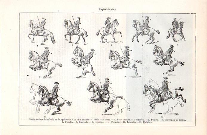 LAMINA V08030: Aires del caballo