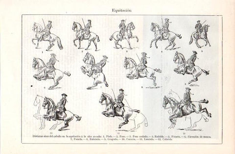LAMINA V08030: Aires del caballo
