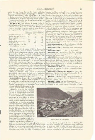 LAMINA V06741: Vista de Senet Lerida