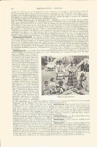 LAMINA V06726: Familia indios seminolas