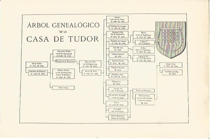 LAMINA V06682: Arbol genealogico de la casa de Tudor